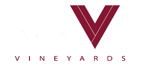 Strive Vineyards